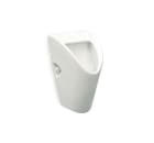 Urinal with back inlet